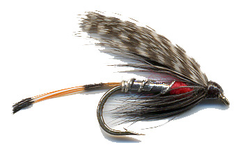 Troutfly